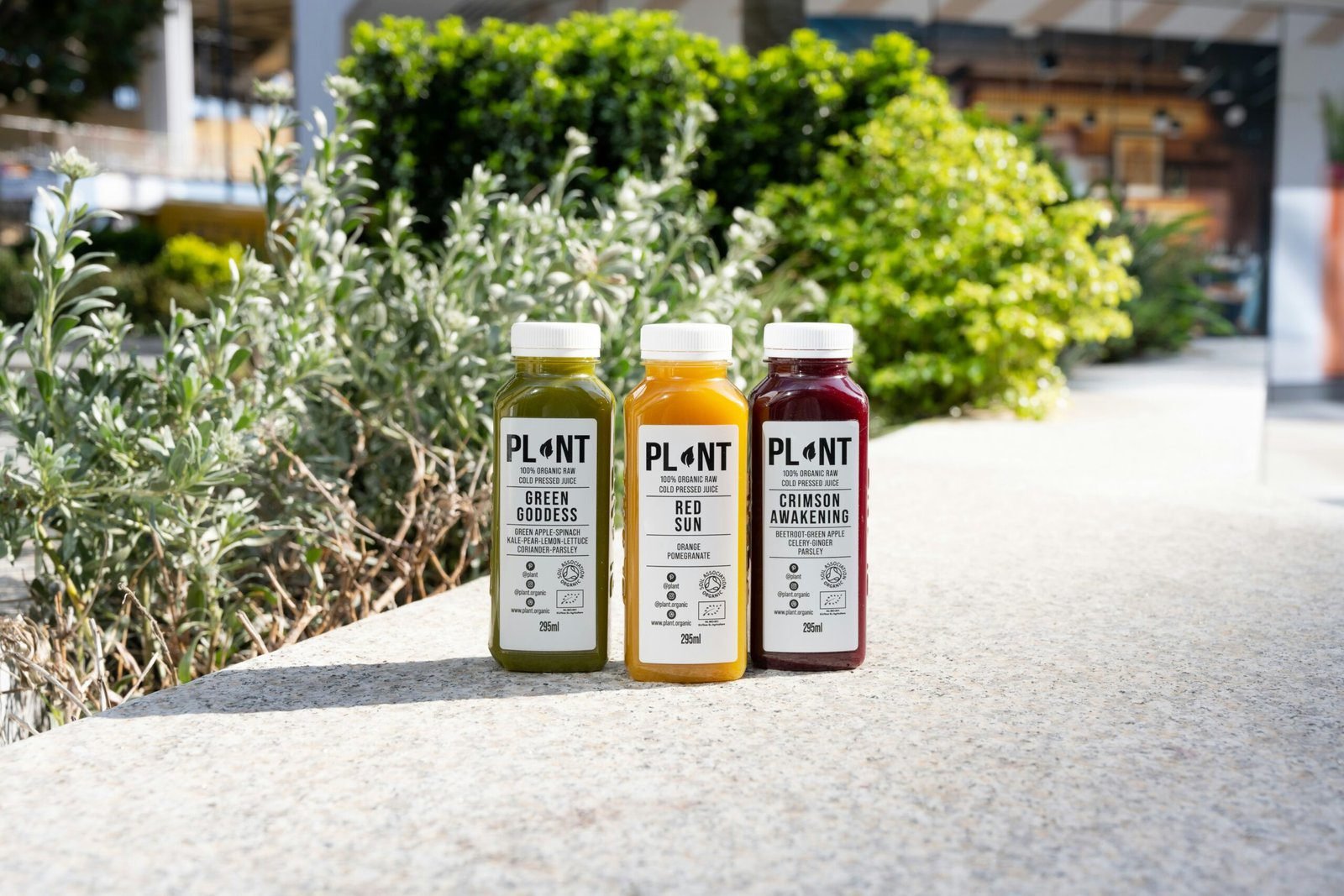 The Ultimate Guide to Cold-Pressed Juices for Better Health